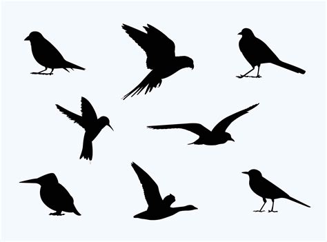 silhouettes of birds